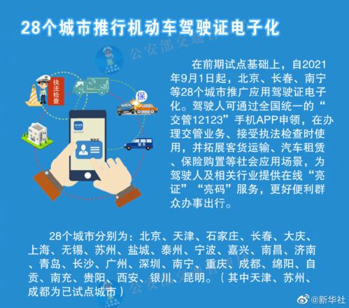 大港澳53040新版入口|决策资料解释落实_QHD版.6.194